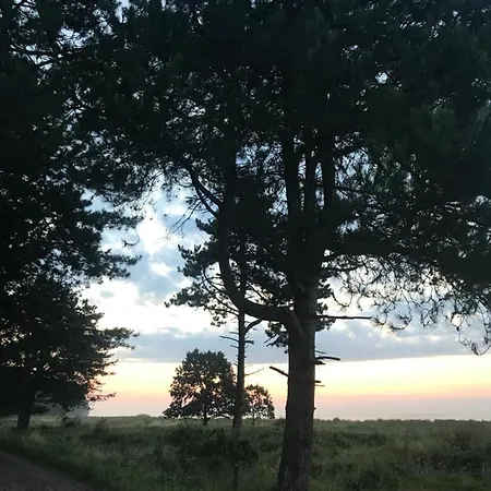Skovly - Havudsigt Ved Lundeborg *