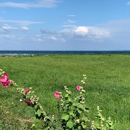 Skovly - Havudsigt Ved Lundeborg Отель типа 